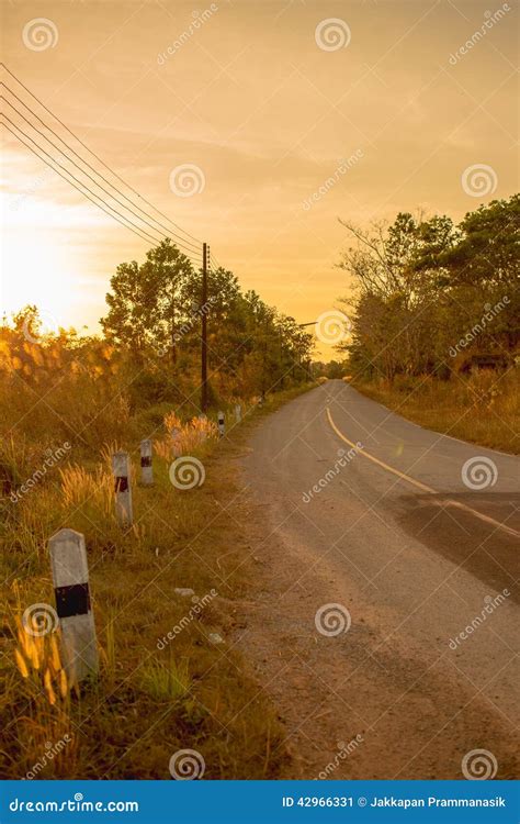 The Country Road With Sunset Stock Image Image Of Tree Country 42966331