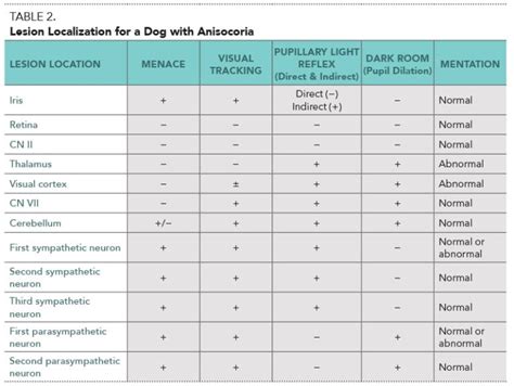 The Practitioners Guide To Neurologic Causes Of Canine Anisocoria