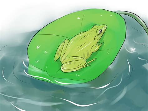 Connect your device through leapfrog connect. 3 Ways to Tell the Difference Between a Frog and a Toad