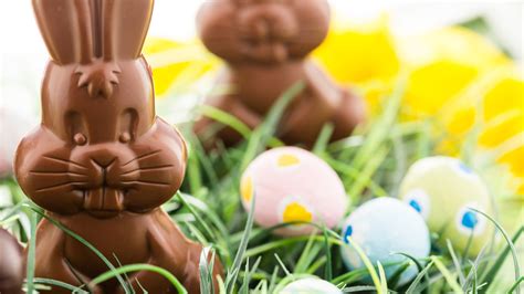 Heres Where Americas Chocolate Easter Bunny Tradition Might Have Come