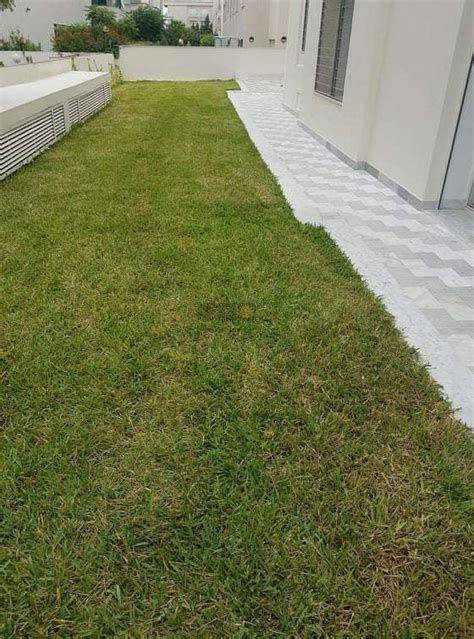2100dt contacter agence villa ( agence immobilière agrée) tel a louer un appartement s3 jamais habité avec jardin à la marsa. A Louer S3 avec jardin aux jardins de Carthage - Deux Point Zéro