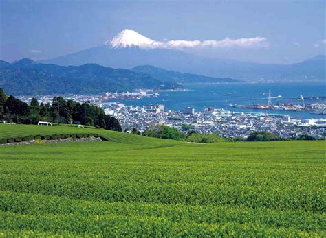 Shizuoka Travel Guide Wow U Japan