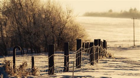 Snowy Field Beautiful Landscape Wallpaper Visualização