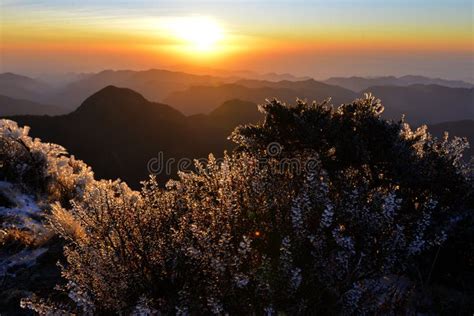 Sunset In Taiwan High Mountain Stock Image Image Of Berberis Yushan