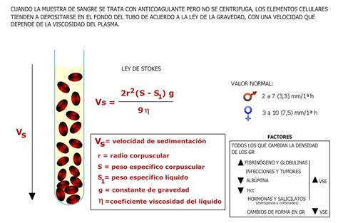 La Sangre Webfisio