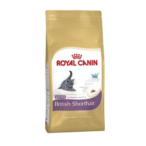 Royal Canin British Shorthair Kitten Food 10kg Feedem