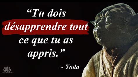 Citations De Yoda Vous Allez être Surpris Par La Sagesse De Ces