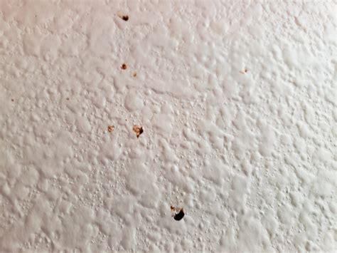 Mysterious Reddish Brown Stains Appearing On Wallsceilings Rhomeowners