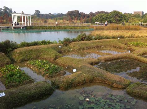 Hong Kong Wetland Park Hong Kong