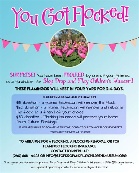 Flamingo Flocking Fundraiser Cheerleading Fundraiser Pta