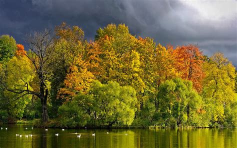 View Lake Grass Leaves Autumn Splendor Beautiful