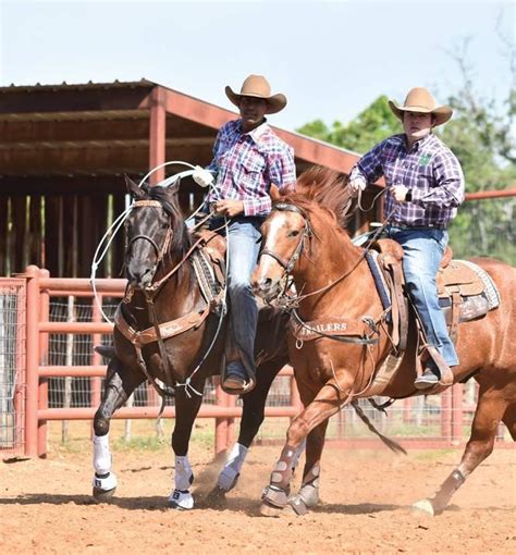 2021 Wrangler National Rodeo Qualifying Team Ropers The Team Roping