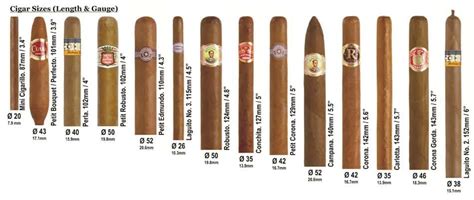 Understanding Cigar Shapes And Sizes Windy City Cigars