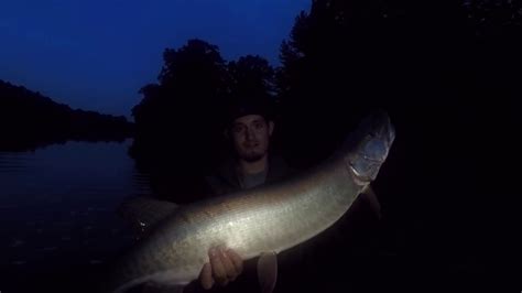 Musky Fishing On Shenandoah River Youtube