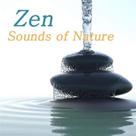 Zen Sounds Of Nature Nature Sounds Relaxation Meditation Zen Music