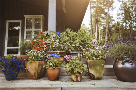 Tips For Beautiful Large Container Gardens