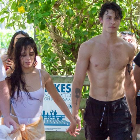 Shawn Mendes And Camila Cabello Reach Adorable Relationship Milestone