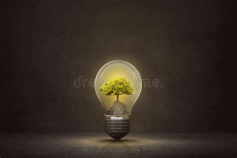 Small Tree Inside Light Bulb On The Dark Room Stock Image Image Of
