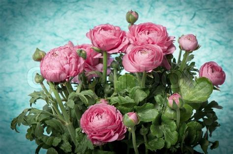 Beautiful Bouquet Of Spring Flowers Pink Ranunculus