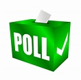 Importance of Online Poll Votes Services - DemotiX