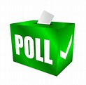 Importance of Online Poll Votes Services - DemotiX