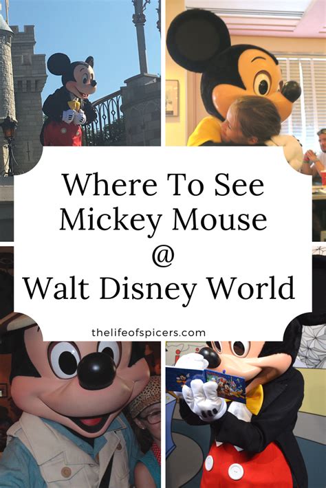 Walt Disney World Where To See Mickey Mouse The Life Of Spicers
