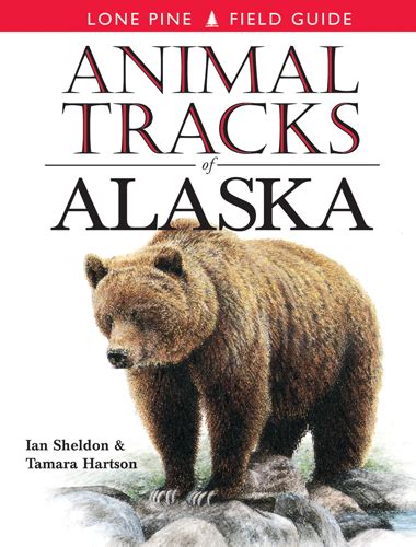Animal Tracks Of Alaska Lone Pine Publishing Animal