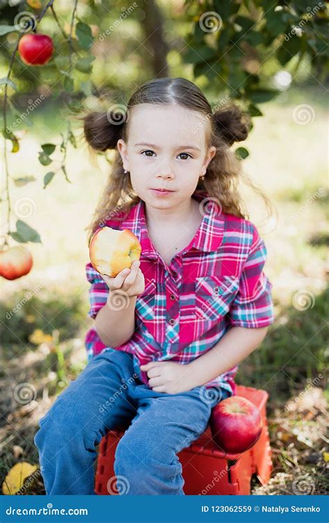 Girl With Apple In The Apple Orchard Stock Image Image Of Food