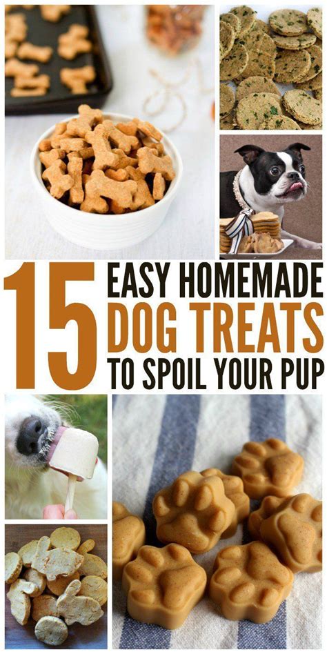 The food has calcium and phosphorous, which are essential minerals for bone and teeth development. 15 DIY Dog Treats to Pamper Your Pooch | Dog food recipes ...