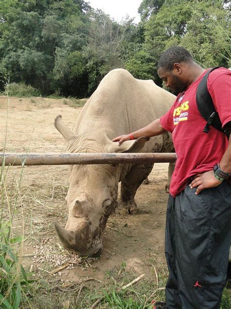 Always Pet Rhinos In Africa Travel Around The World Travel Tips Touring