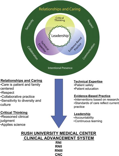 Promoting Professional Nursing Practice Linking A Professional