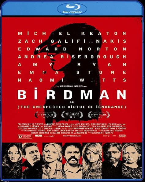 Birdman 2014 Hindi Pgs Subtitle Hindi Pgs Subtitle