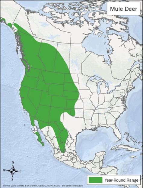 Mule Deer Habitat And Management Information Landpks