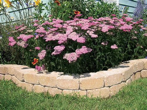 Read more menars landscape brick : 3-1/2" x 7" x 7" Belgian Wedge Wall Block at Menards®