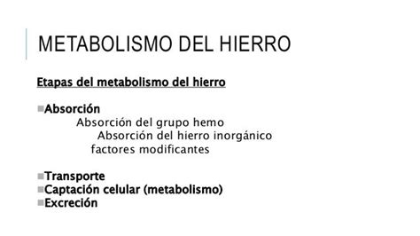 Metabolismo Del Hierro