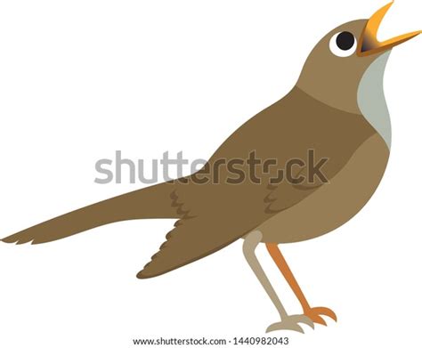 Clip Art Nightingale Bird Vector Graphic Stock Vector Royalty Free