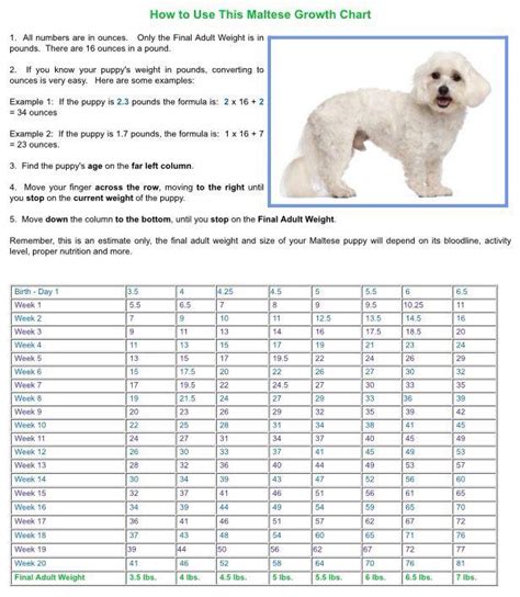 Dog Growth Chart The O Guide