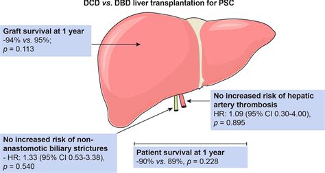Clinical Outcomes Of Donation After Circulatory Death Liver