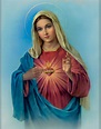 Infallible Catholic: The Blessed Virgin Mary - The New Ark of the Covenant