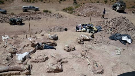 Fossils Of Largest Dinosaur Found In Argentina