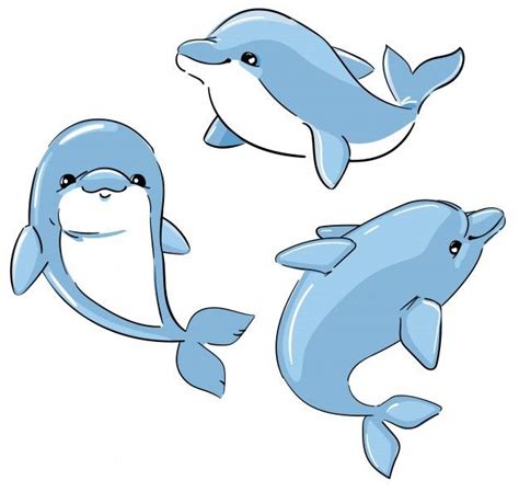 Premium Vector Set Of Cute Dolphins Isolated On A White Background