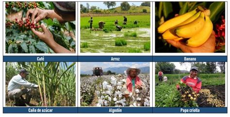 Agricultura En Colombia Tierra Colombiana