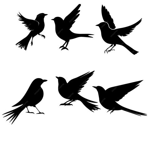 Premium Vector Birds Silhouettes Series