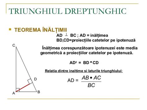 Triunghiul Dreptunghic