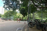 東涌踩入迪欣湖．中級單車路線感受異國風情