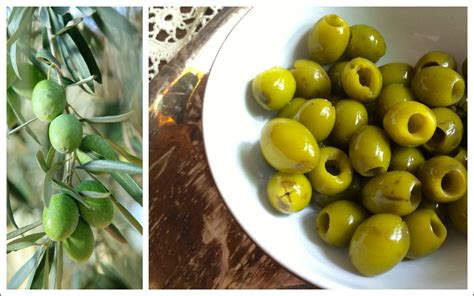 California Green Ripe Olives Go Through A Nearly Identical Curing