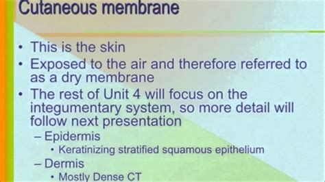 Chapter04 Skin And Body Membranes Part 01 Youtube