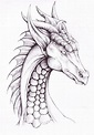 How to Draw a Dragon? 40+ Easy Dragon Sketches - HARUNMUDAK