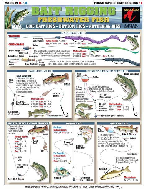 Bait Rigging And Knot Tying Techniques For Inshore Freshwater Bass