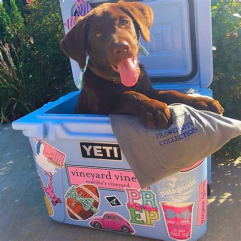 The Perfect Yeti Cooler Has Lots Of Southern Girl Prep Stickers 💕